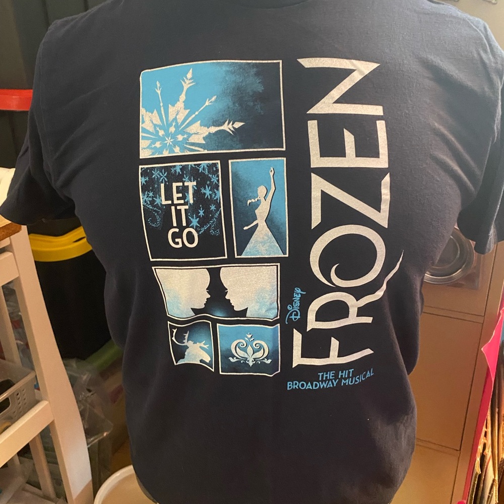 Preowned Unisex “Frozen” The Hit Broadway Musical T-Shirt Size L Maybe Youth?